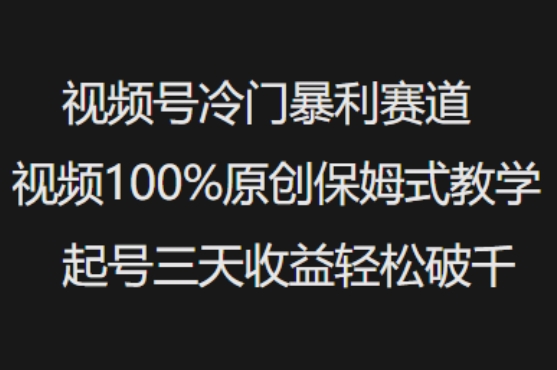 视频号冷门暴利赛道视频100%原创保姆式教学起号三天收益轻松破千-柚子网创